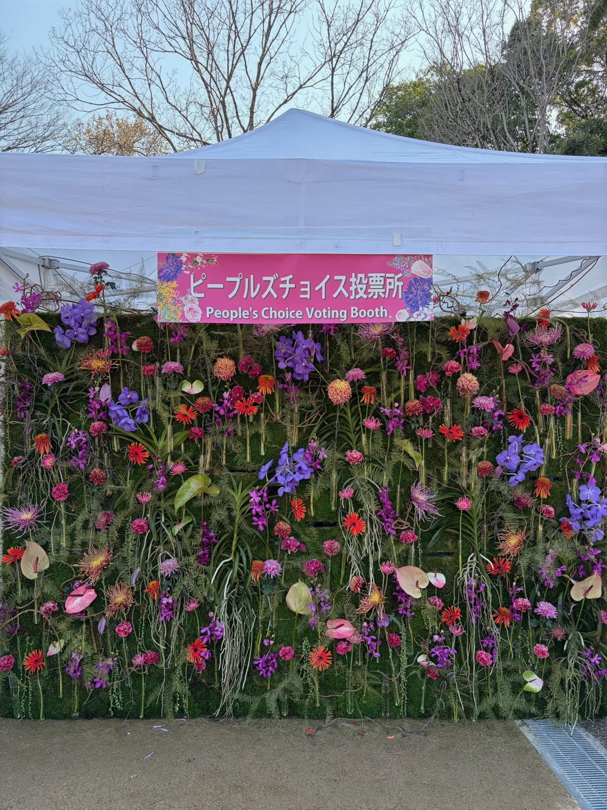 看看投票口在哪